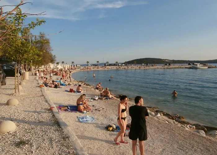 Mia-beach In *